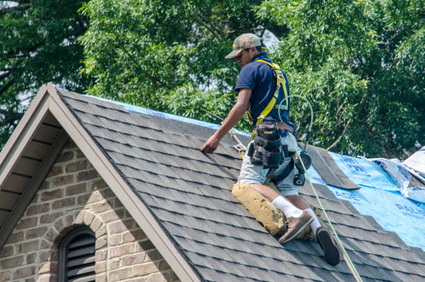 Roof Gutter Cleaning in Harlan, KY